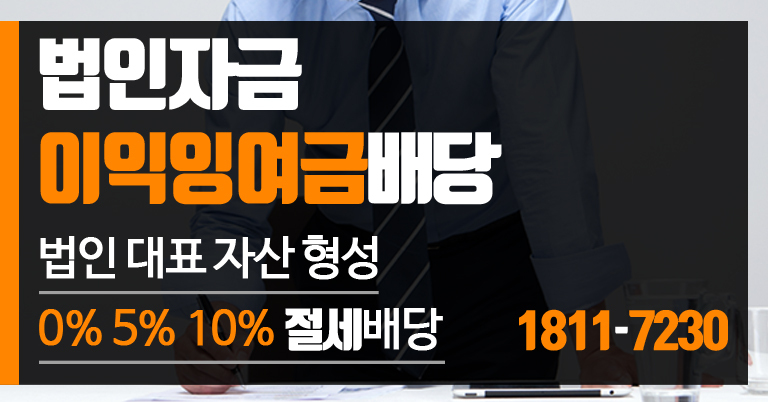 법인자금 이익잉여금배당